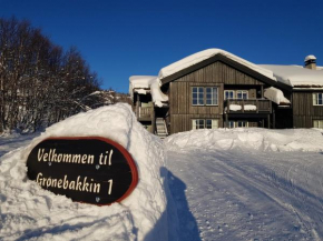 Cozy 3 Bedroom, Terrace, Pets Welcome Beitostølen